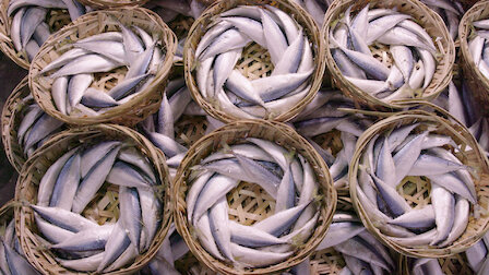 Guarda Ricetta di pesce. Episodio 15 della Stagione 1.